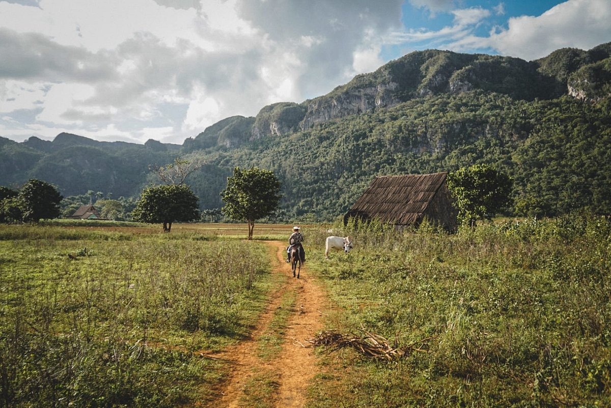 eksplorasi-otentik-kuba-dari-lembah-vinales-ke-kota-tua-trinidad